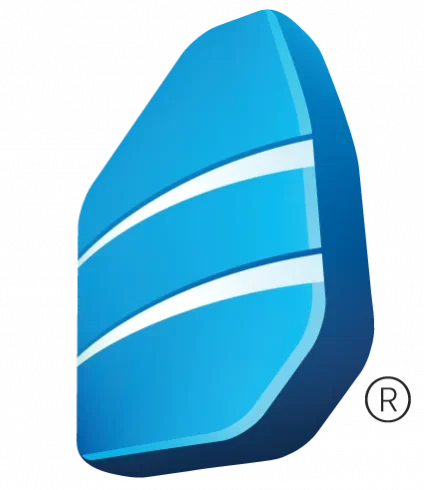 Rosetta Stone logo