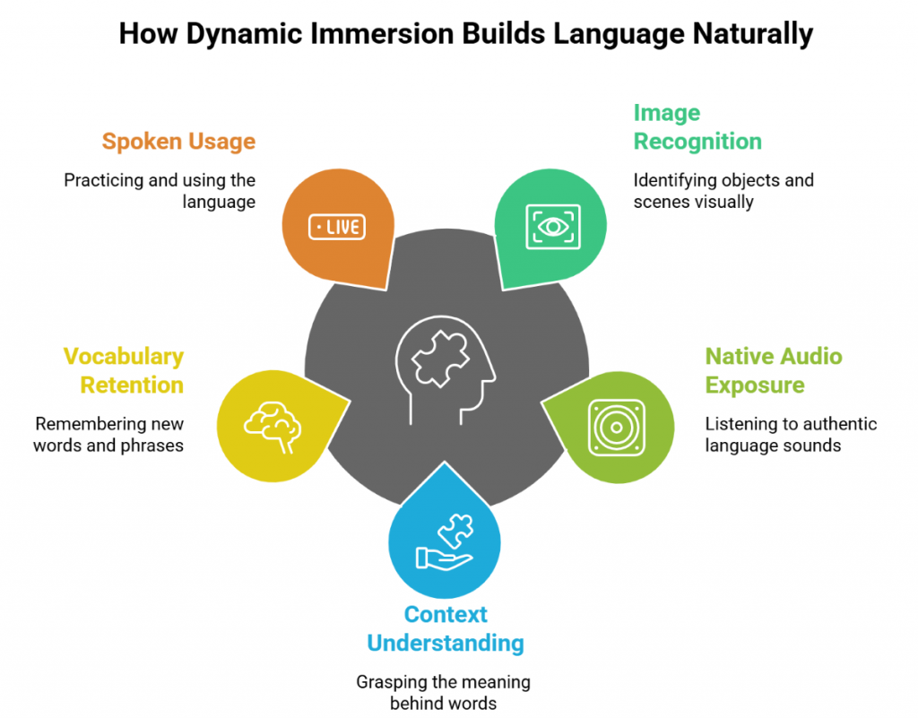 How Dynamic Immersion Builds Language Naturally